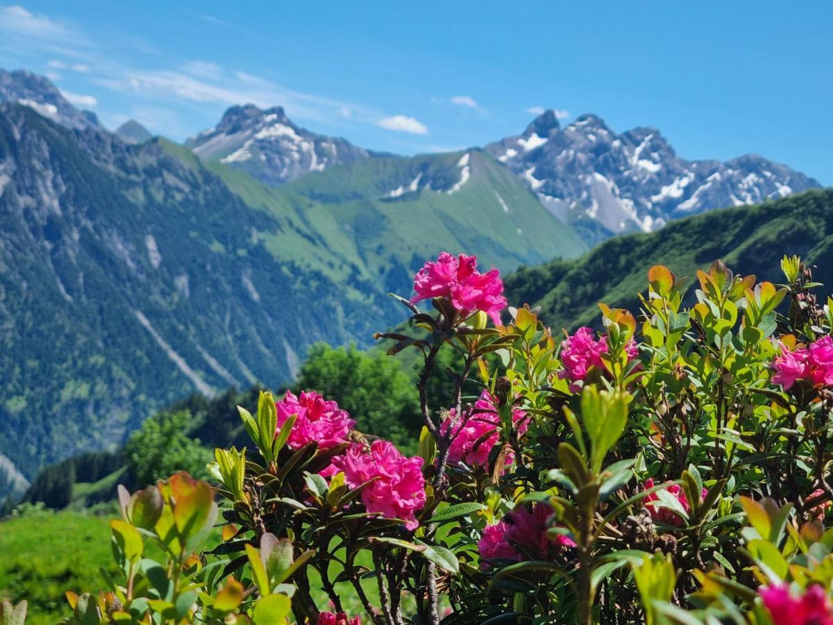 Gaestehaus Alpina ريزلرن المظهر الخارجي الصورة