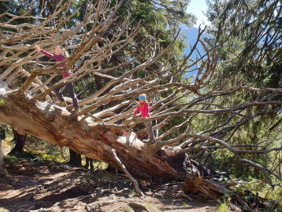 Gaestehaus Alpina ريزلرن المظهر الخارجي الصورة